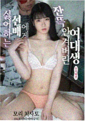 逆光航线剧集封面